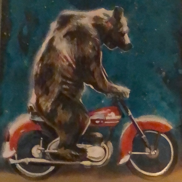 Meet your Posher, Janine - Picture 1 of 1